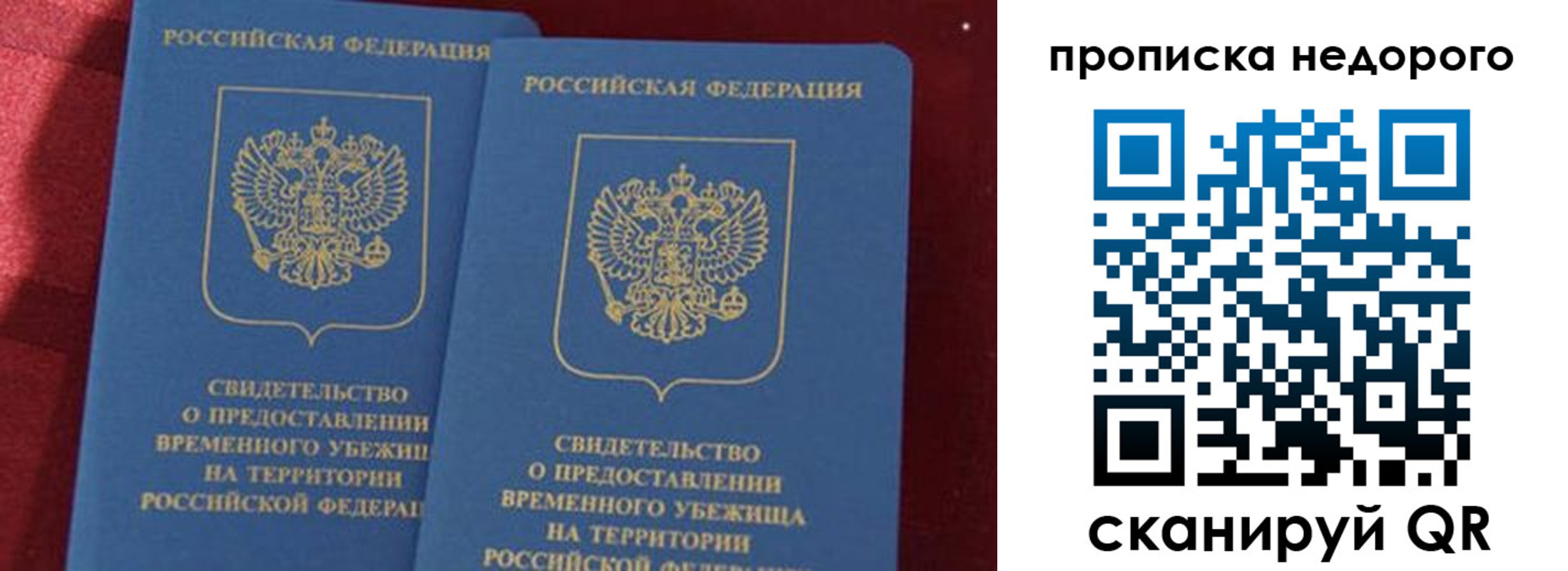 прописка гарантия в Воронежской области